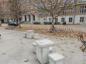 IMG 20191128 122952