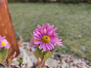 IMG 20191130 133435