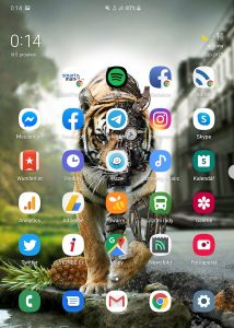 Screenshot 20191205 001441 One UI Home
