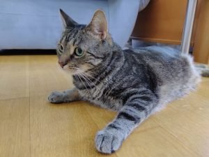 IMG 20191207 095814