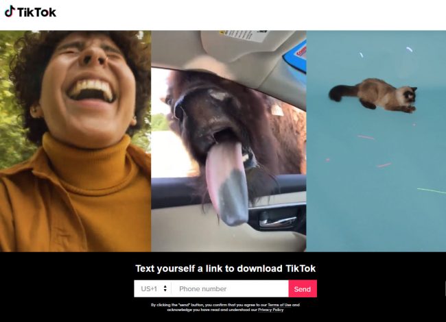 tiktok chyba