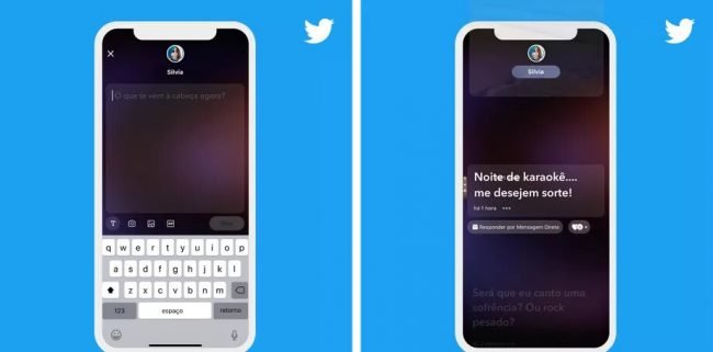 twitter story fleet 2