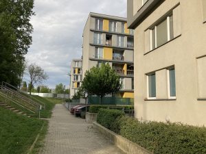 IMG 0025