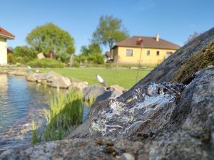 IMG 20200512 175826