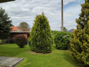 IMG 20200513 094816