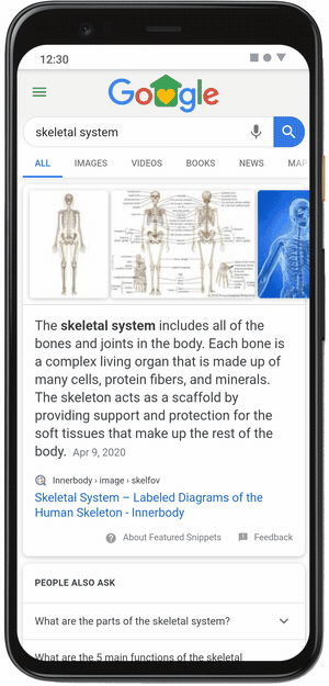 google 3d skeleton