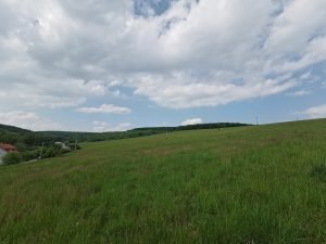 IMG 20200517 160934