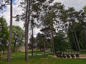 IMG 20200521 105435