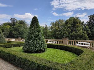IMG20200725153151