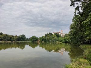 IMG20200725164105
