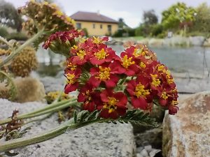 IMG20200728172127