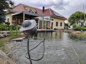 IMG20200728172143