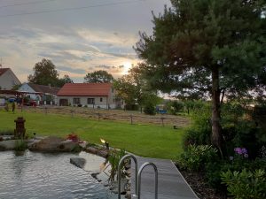 IMG20200728194235