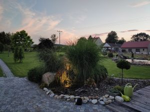IMG20200728205018