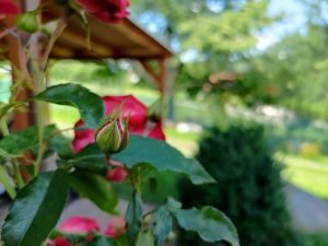 P 20200720 153805
