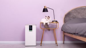 VOCOlinc 5