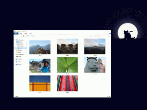 windows 10 1 1