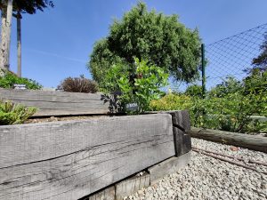 IMG 20200813 142641