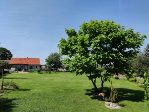 IMG 20200813 142746