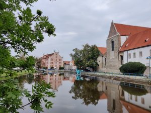 IMG 20200814 103558