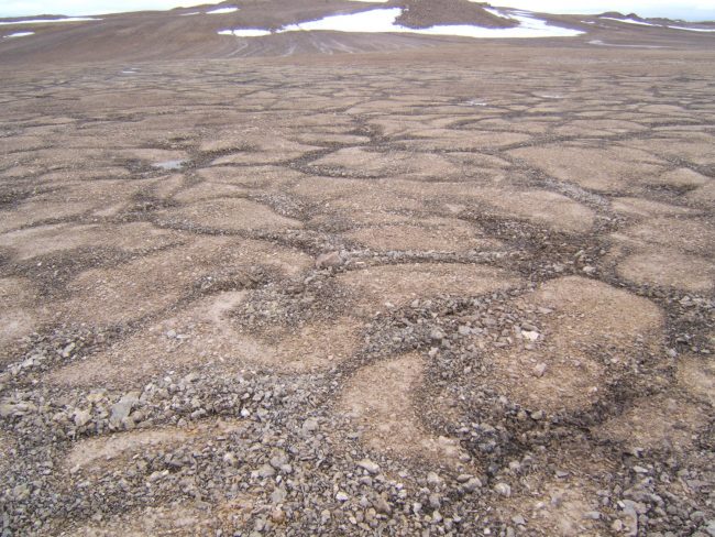 Patterned ground devon island Patterned ground devon island