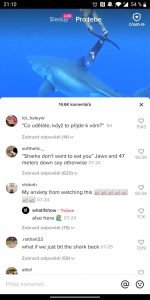 TikTok screenshot 13