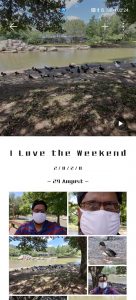 photos 4