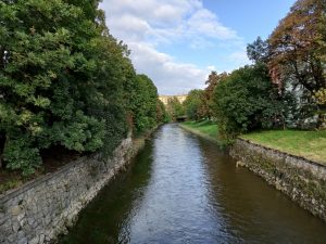 IMG20201018150636 00