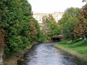 IMG20201018150646 00