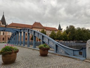IMG 20201003 150536