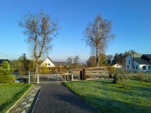 IMG 20201108 080910