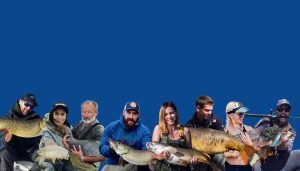 fishsurfing recenze