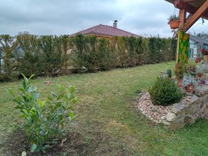 IMG 20201129 123827033 HDR