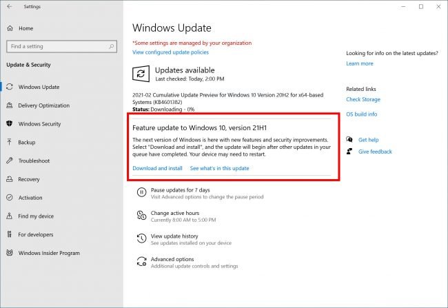 windows 10