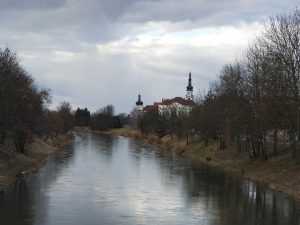 IMG 20210305 160752