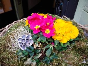 IMG 20210305 162101 1