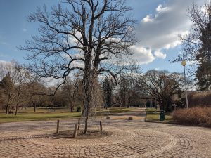 IMG 20210306 134104632 HDR