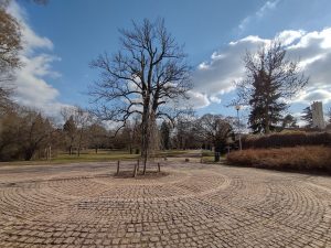 IMG 20210306 134109253 HDR