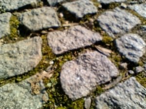 IMG 20210306 134138907 HDR