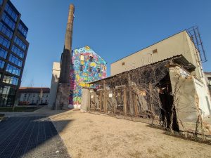 IMG 20210307 131635792 HDR