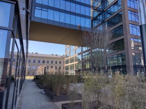 IMG 20210307 131711775 HDR