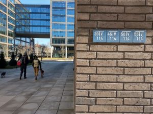 IMG 20210307 133612429 HDR