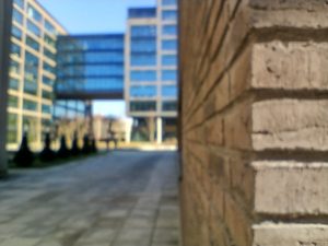 IMG 20210307 133631252 HDR