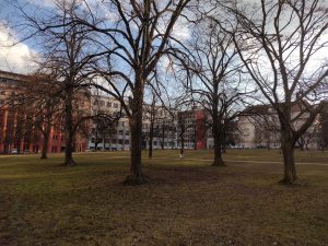 IMG 20210308 163817394