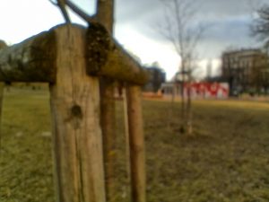 IMG 20210308 163839255 HDR