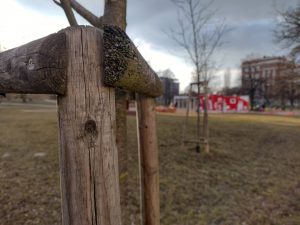 IMG 20210308 163844521 HDR