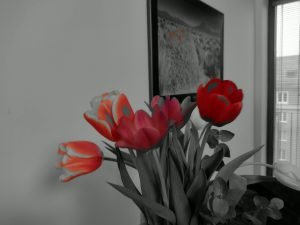 IMG 20210311 170018500