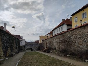 IMG 20210314 151019