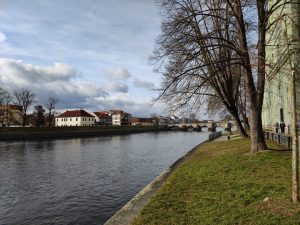 IMG 20210314 154246