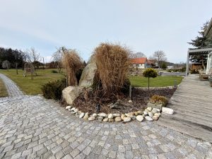 P 20210309 110332